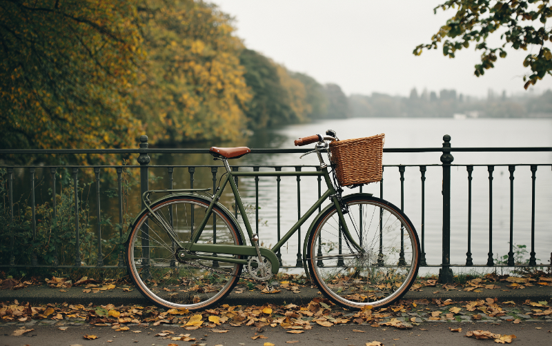 Vintage Bike